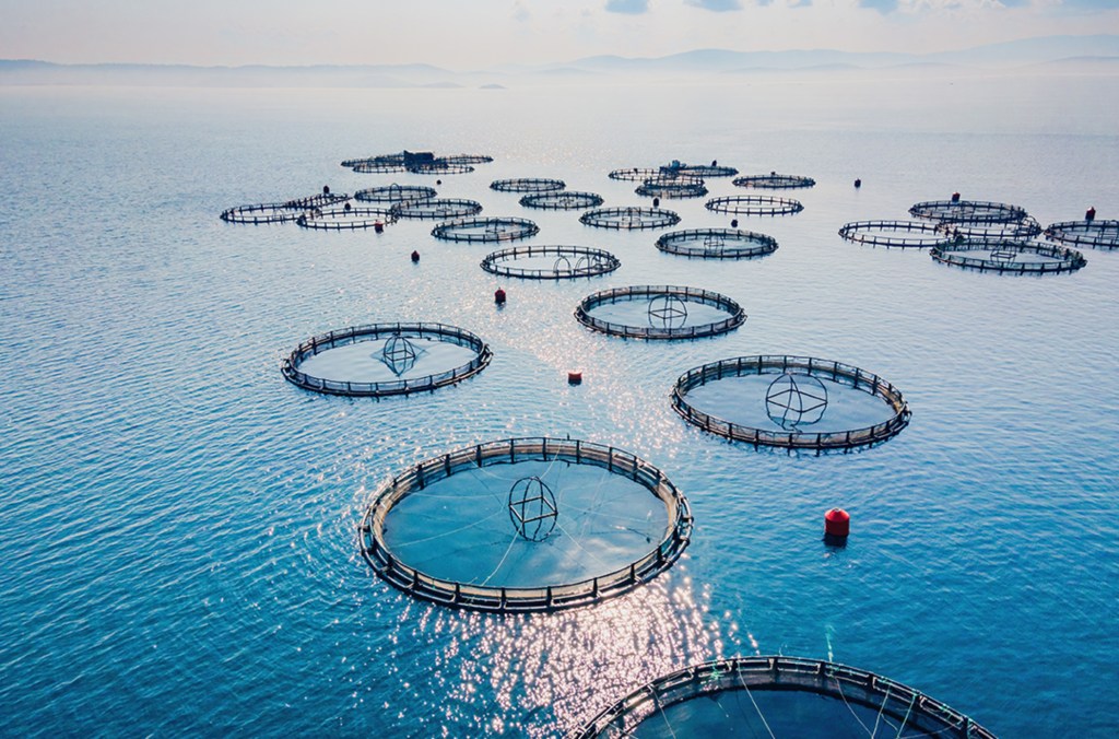 Fish farm