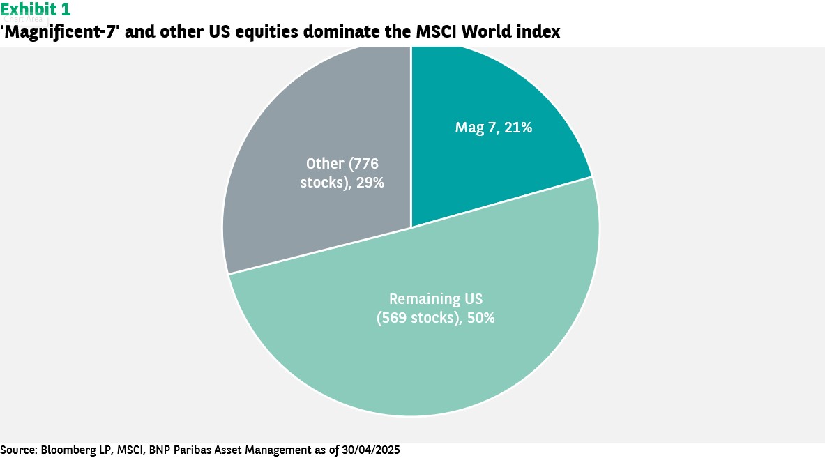Magnificent 7 and other US equities dominate the MSCI World index